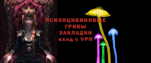 герыч Алексин