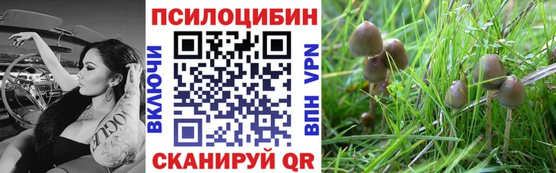 Галлюциногенные грибы Magic Shrooms  магазин продажи наркотиков  Бийск 